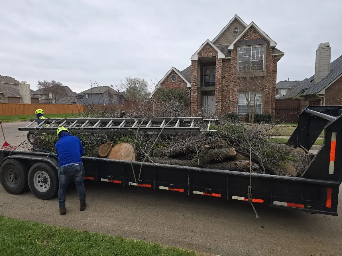 Expert Crown Reduction with proper safety equipment in Ronkonkoma